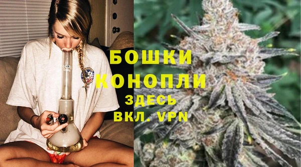 винт Аркадак