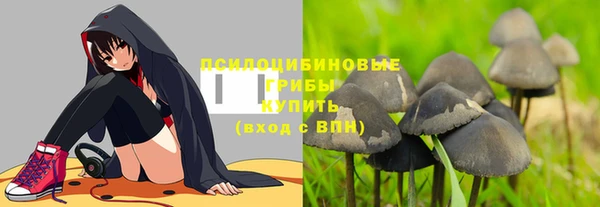 не бодяженный Арсеньев