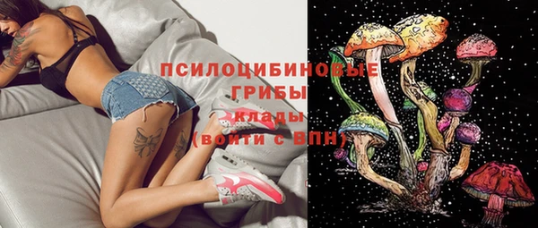не бодяженный Арсеньев