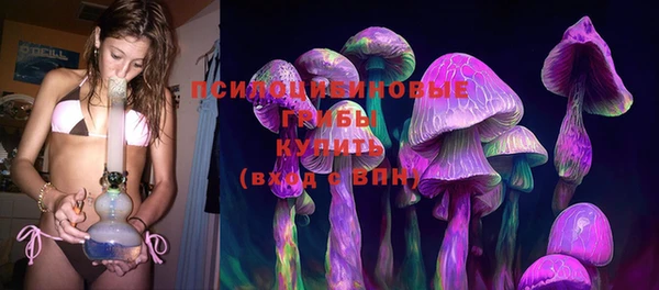 ПСИЛОЦИБИНОВЫЕ ГРИБЫ Кулебаки