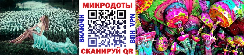 ссылка на мегу ссылка  Мыски  Галлюциногенные грибы Cubensis 